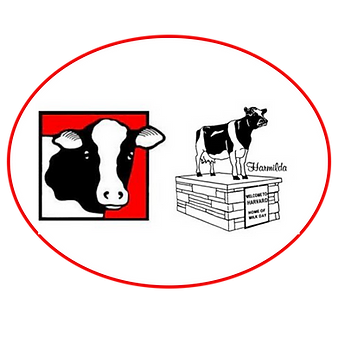 Harvard Milk Days Logo Transparent Background